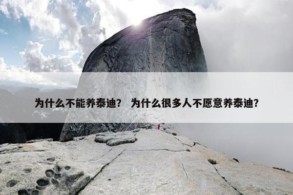 为什么不能养泰迪？ 为什么很多人不愿意养泰迪？