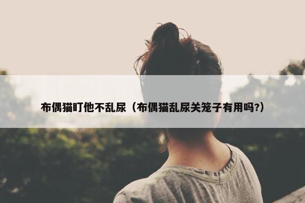 布偶猫盯他不乱尿（布偶猫乱尿关笼子有用吗?）