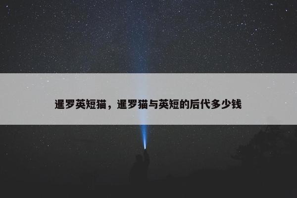 暹罗英短猫，暹罗猫与英短的后代多少钱