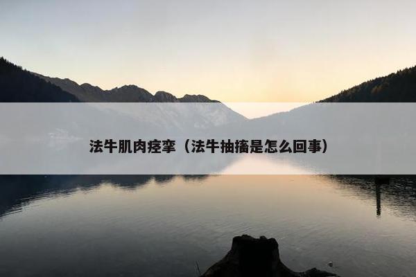 法牛肌肉痉挛（法牛抽搐是怎么回事）