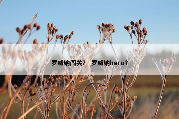 罗威纳闯关？ 罗威纳hero？