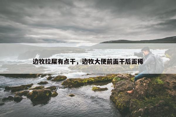 边牧拉屎有点干，边牧大便前面干后面稀