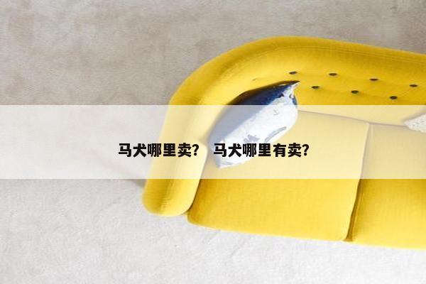 马犬哪里卖？ 马犬哪里有卖？