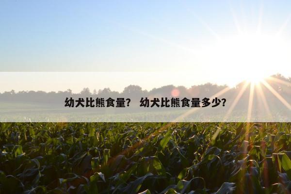 幼犬比熊食量？ 幼犬比熊食量多少？