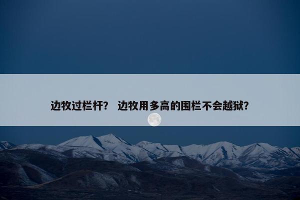 边牧过栏杆？ 边牧用多高的围栏不会越狱？