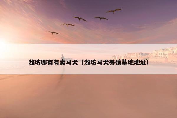 潍坊哪有有卖马犬（潍坊马犬养殖基地地址）