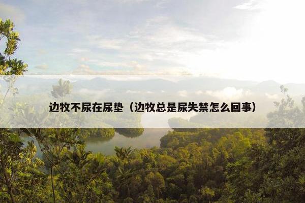 边牧不尿在尿垫（边牧总是尿失禁怎么回事）
