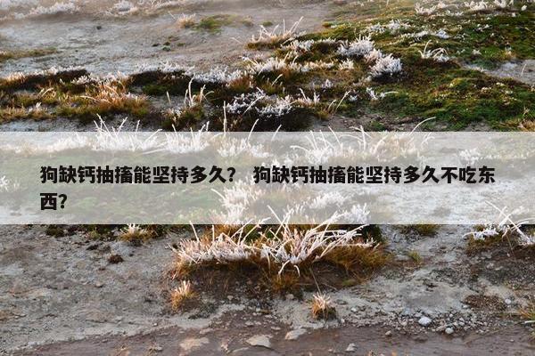 狗缺钙抽搐能坚持多久？ 狗缺钙抽搐能坚持多久不吃东西？