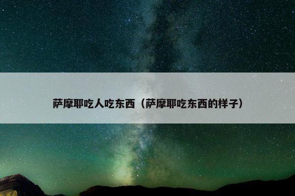 萨摩耶吃人吃东西（萨摩耶吃东西的样子）
