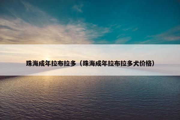 珠海成年拉布拉多（珠海成年拉布拉多犬价格）