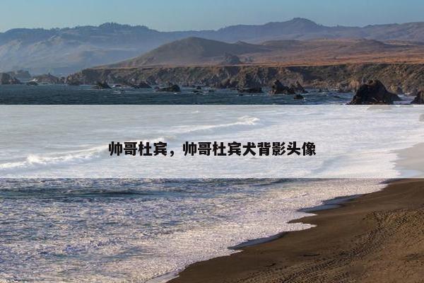 帅哥杜宾，帅哥杜宾犬背影头像