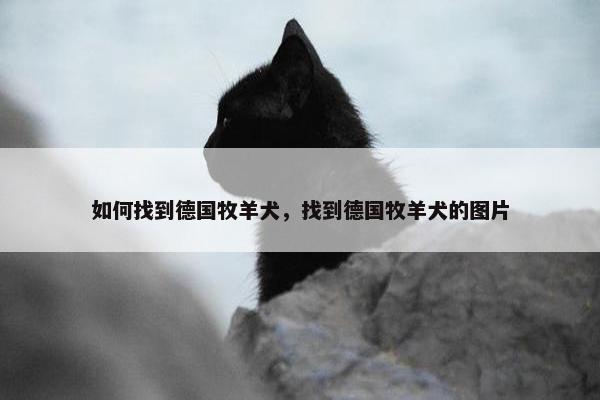 如何找到德国牧羊犬，找到德国牧羊犬的图片