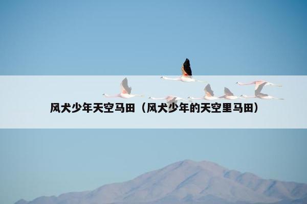风犬少年天空马田（风犬少年的天空里马田）