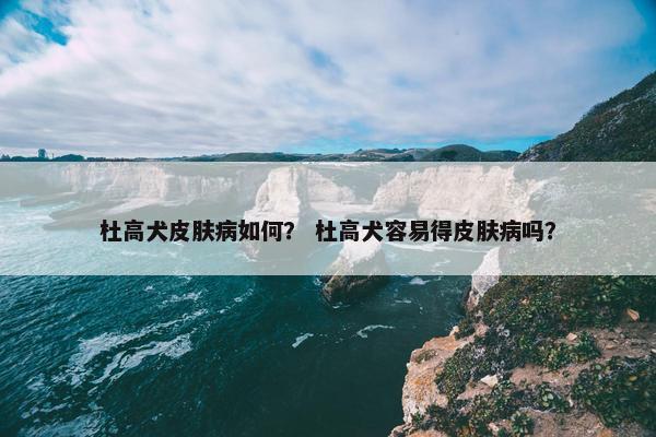 杜高犬皮肤病如何？ 杜高犬容易得皮肤病吗？