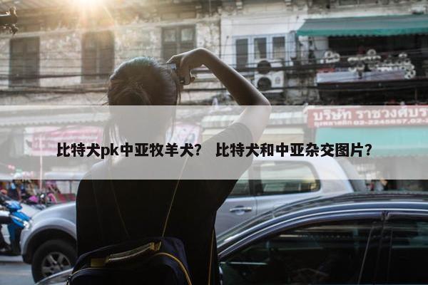 比特犬pk中亚牧羊犬？ 比特犬和中亚杂交图片？