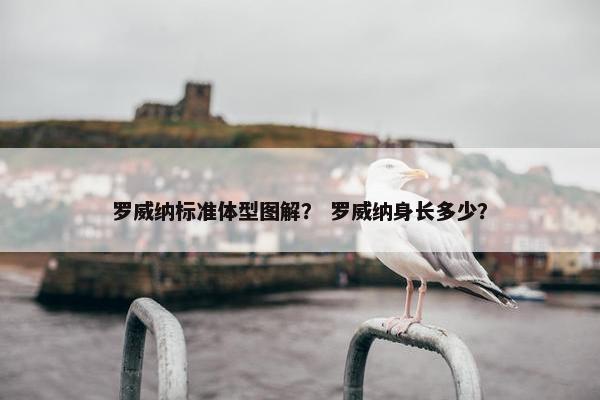 罗威纳标准体型图解？ 罗威纳身长多少？