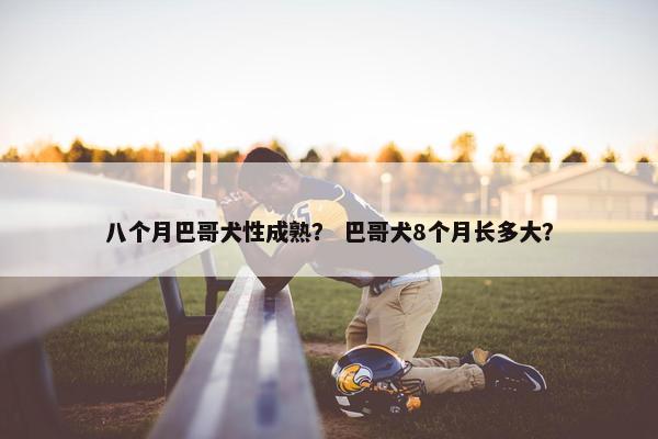 八个月巴哥犬性成熟？ 巴哥犬8个月长多大？