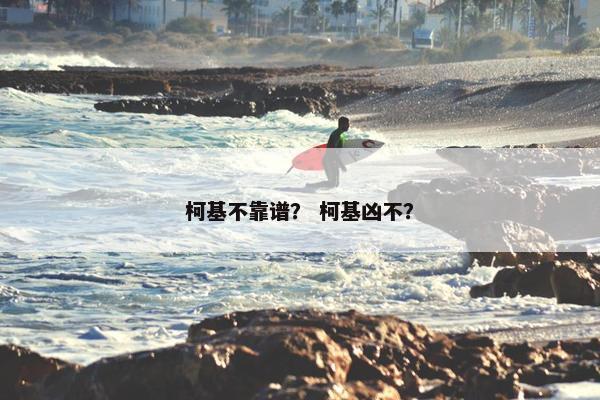 柯基不靠谱？ 柯基凶不？