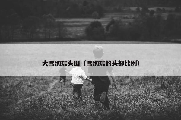 大雪纳瑞头围（雪纳瑞的头部比例）