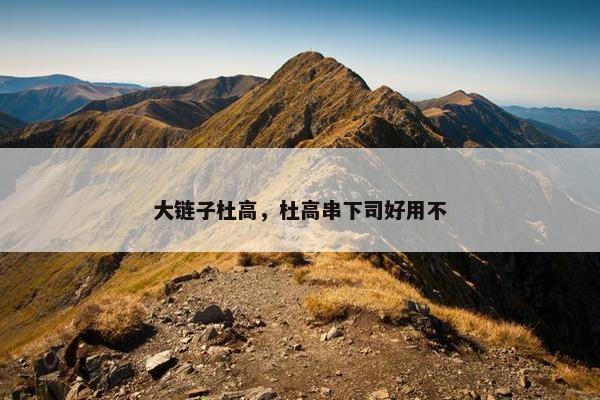 大链子杜高，杜高串下司好用不