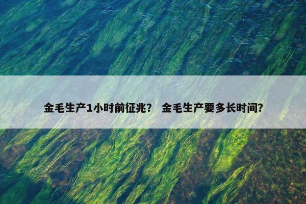 金毛生产1小时前征兆？ 金毛生产要多长时间？