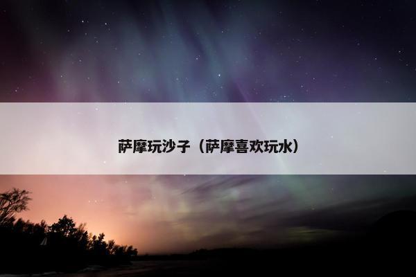 萨摩玩沙子（萨摩喜欢玩水）