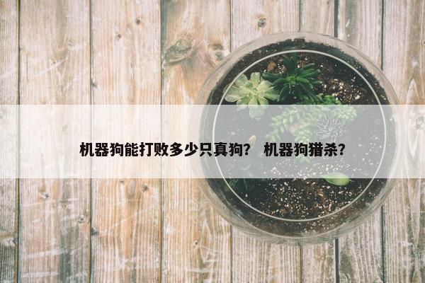 机器狗能打败多少只真狗？ 机器狗猎杀？