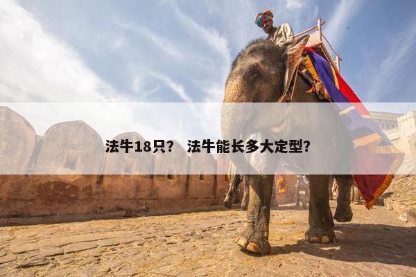 法牛18只？ 法牛能长多大定型？