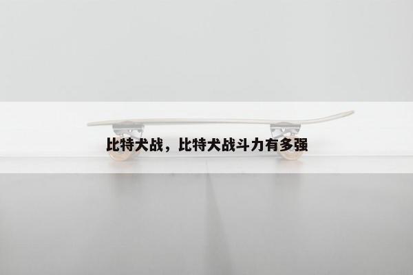 比特犬战，比特犬战斗力有多强