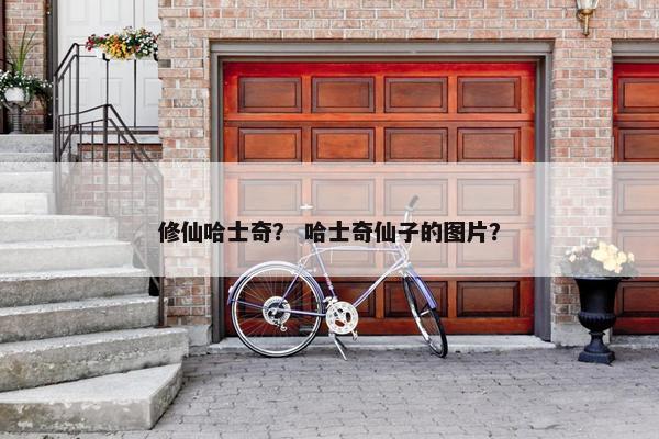 修仙哈士奇？ 哈士奇仙子的图片？