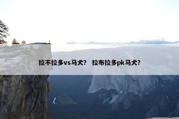 拉不拉多vs马犬？ 拉布拉多pk马犬？
