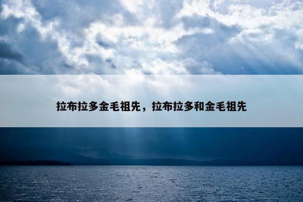 拉布拉多金毛祖先，拉布拉多和金毛祖先
