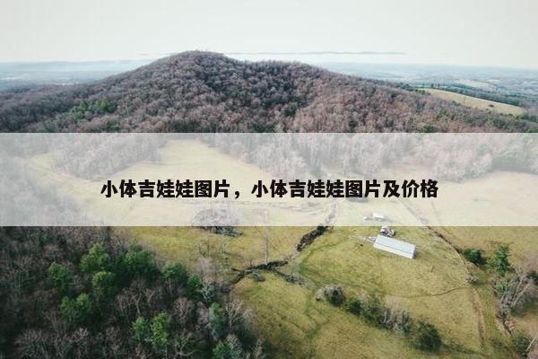 小体吉娃娃图片，小体吉娃娃图片及价格