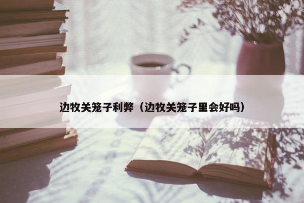边牧关笼子利弊（边牧关笼子里会好吗）