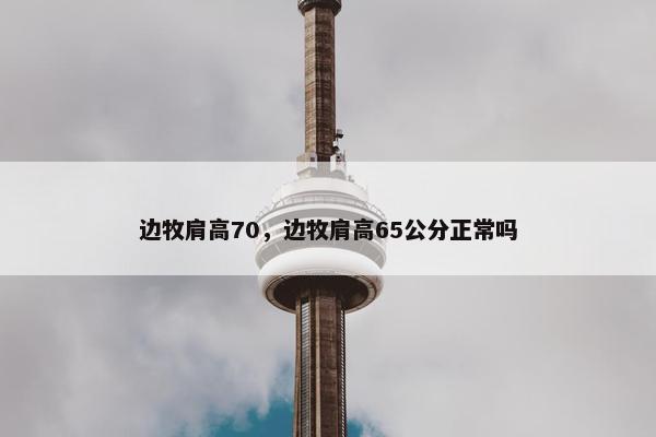 边牧肩高70，边牧肩高65公分正常吗