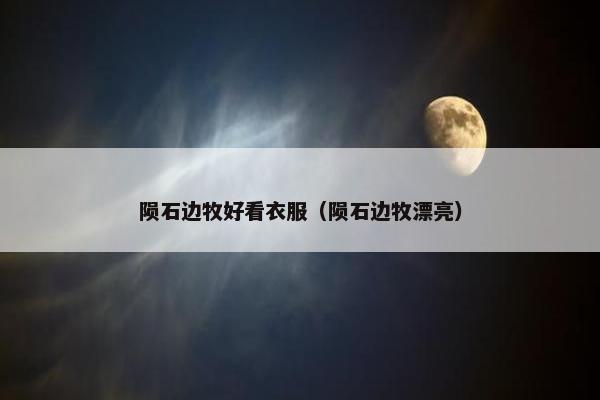陨石边牧好看衣服（陨石边牧漂亮）