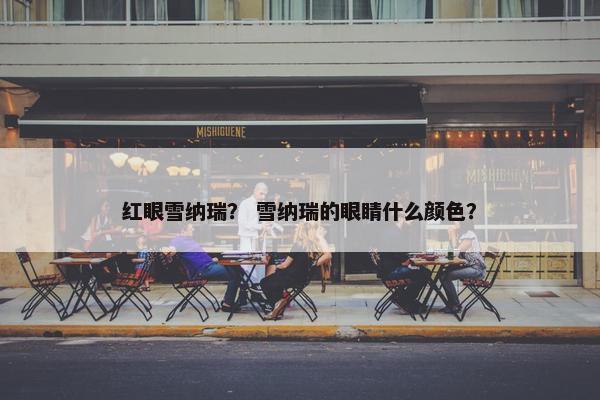 红眼雪纳瑞？ 雪纳瑞的眼睛什么颜色？