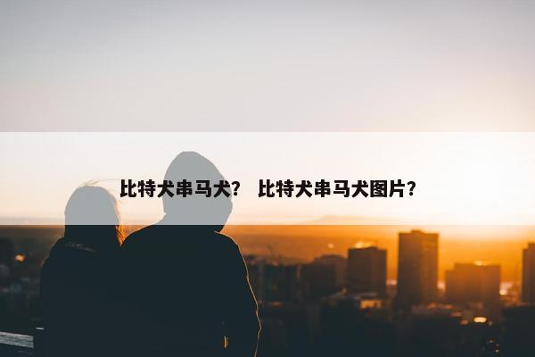 比特犬串马犬？ 比特犬串马犬图片？