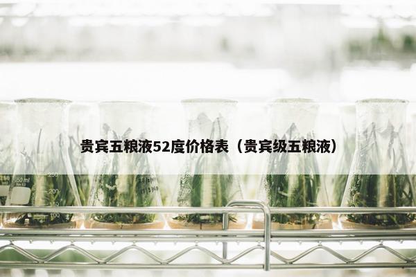 贵宾五粮液52度价格表（贵宾级五粮液）