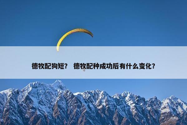 德牧配狗短？ 德牧配种成功后有什么变化？