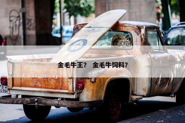 金毛牛王？ 金毛牛饲料？