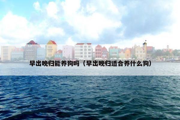 早出晚归能养狗吗（早出晚归适合养什么狗）