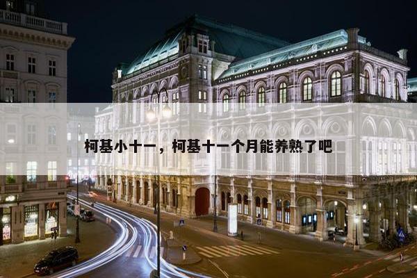 柯基小十一，柯基十一个月能养熟了吧