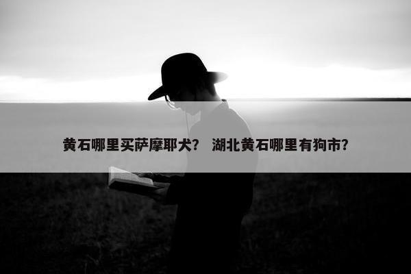 黄石哪里买萨摩耶犬？ 湖北黄石哪里有狗市？