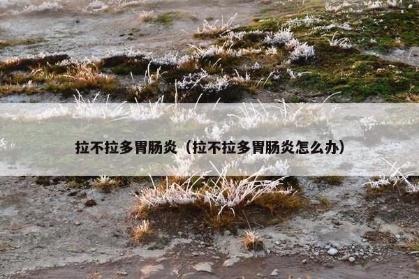 拉不拉多胃肠炎（拉不拉多胃肠炎怎么办）