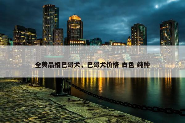 全黄品相巴哥犬，巴哥犬价格 白色 纯种
