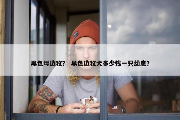 黑色母边牧？ 黑色边牧犬多少钱一只幼崽？