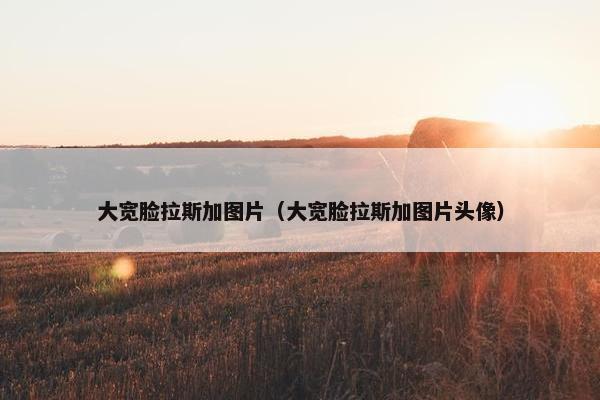 大宽脸拉斯加图片（大宽脸拉斯加图片头像）