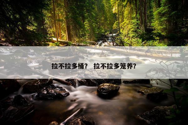 拉不拉多桶？ 拉不拉多笼养？
