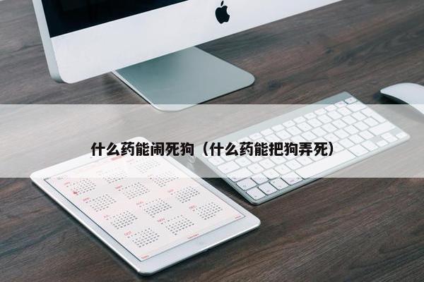 什么药能闹死狗（什么药能把狗弄死）